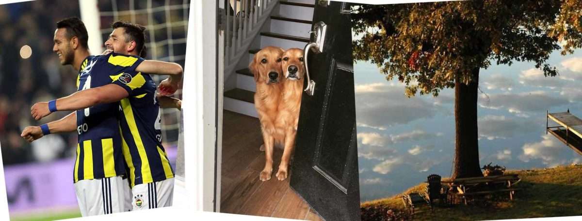 29 foto che sembrano false ed invece sono perfette illusioni ottiche