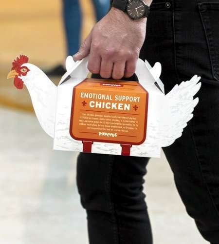Il cartone porta pollo a forma di pollo da "supporto emotivo" è geniale o black humor? Il cartone porta pollo a forma di pollo da "supporto emotivo" è geniale o black humor?