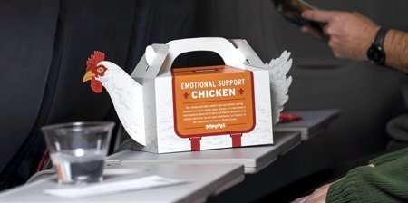 Il cartone porta pollo a forma di pollo da "supporto emotivo" è geniale o black humor? Il cartone porta pollo a forma di pollo da "supporto emotivo" è geniale o black humor?