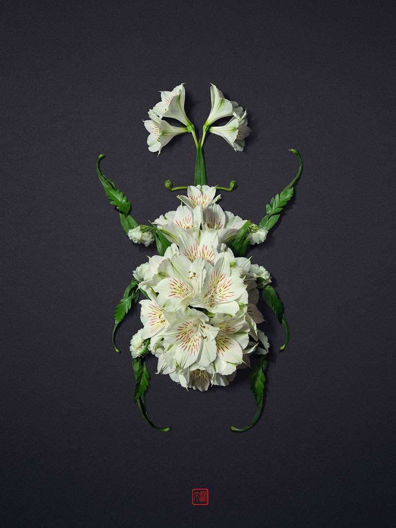 Raku Inoue crea animali usando solo parti di piante e fiori. Il risultato è incantevole Raku Inoue crea animali usando solo parti di piante e fiori. Il risultato è incantevole