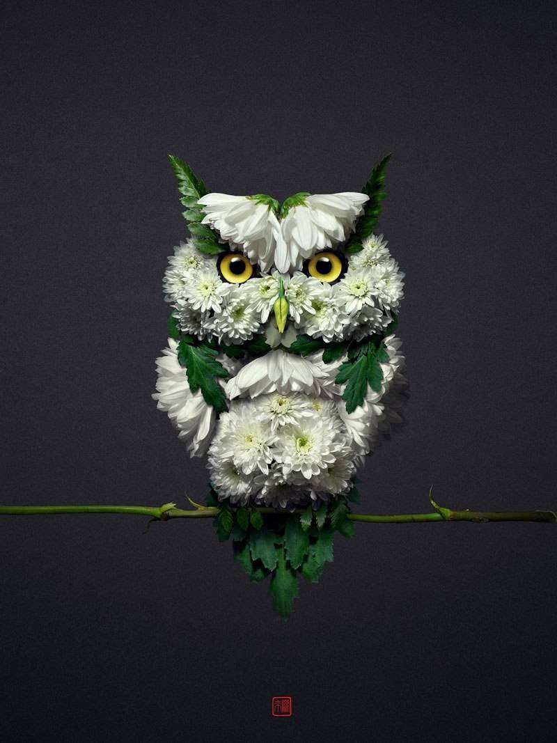 Raku Inoue crea animali usando solo parti di piante e fiori. Il risultato è incantevole Raku Inoue crea animali usando solo parti di piante e fiori. Il risultato è incantevole