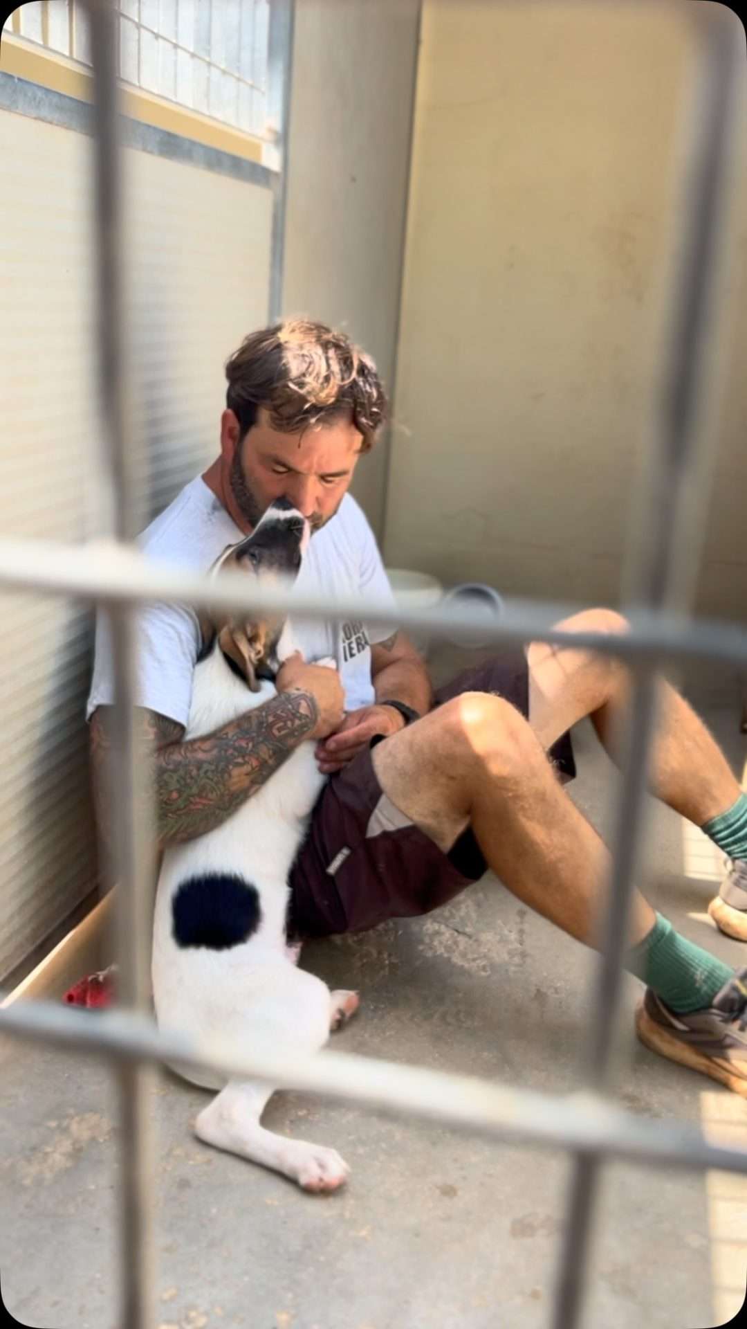 La storia di Biagio Fattizzo e della sua Korunera, simbolo e speranza viva per cani senza casa.