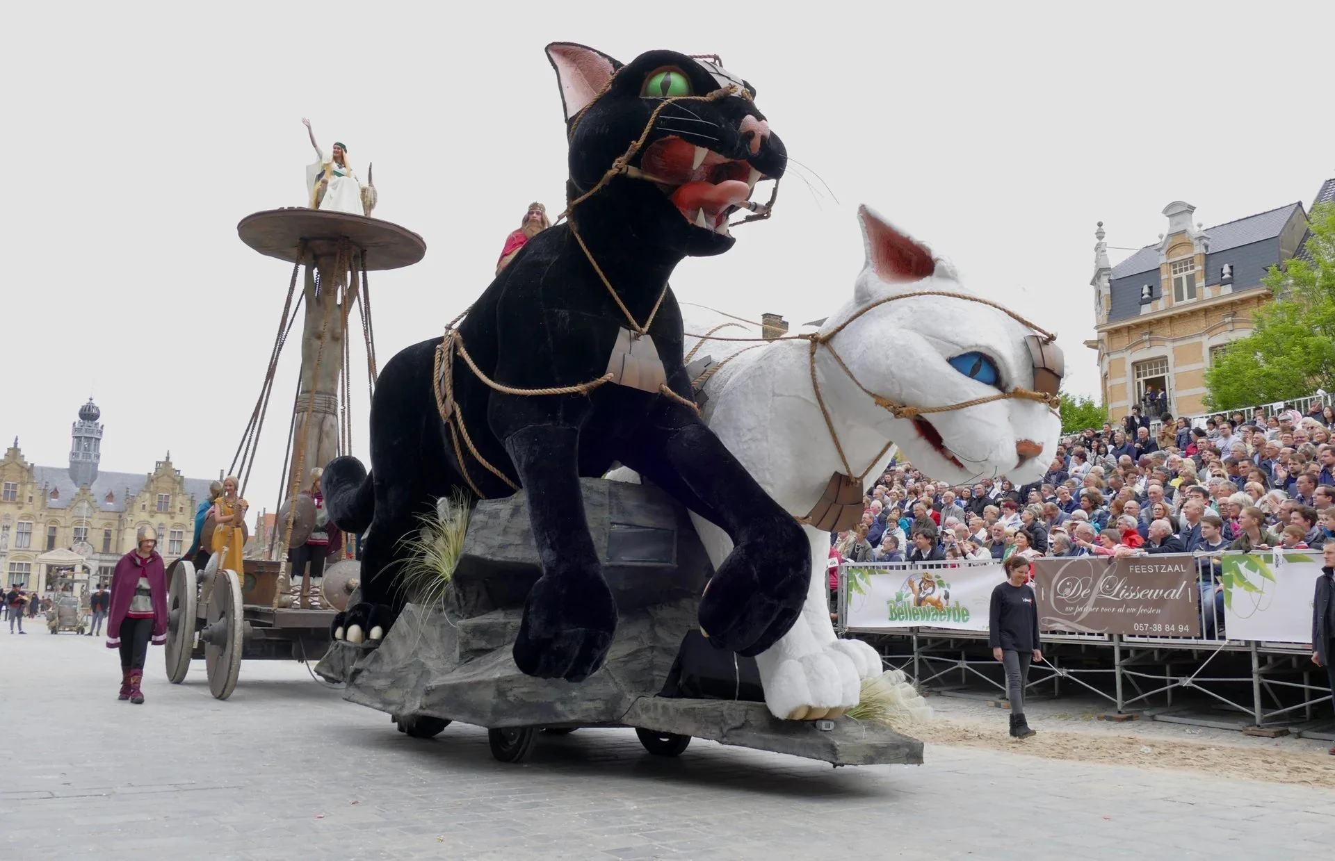 Il Kattenstoet è una festa dove i gatti venivano lanciati dal campanile della Chiesa