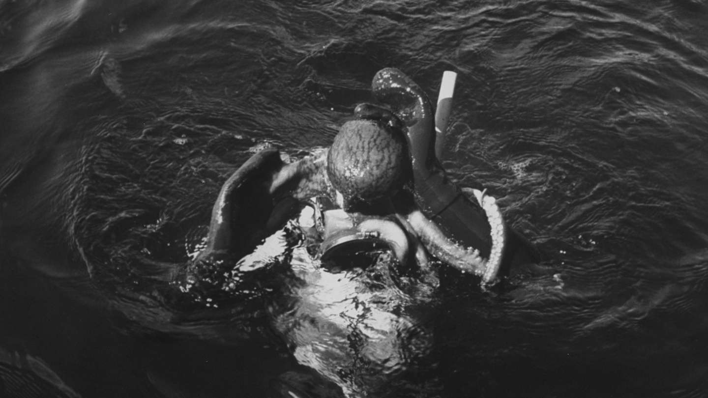 Negli anni 60 è esistito il wrestling dove si combatteva contro i polpi