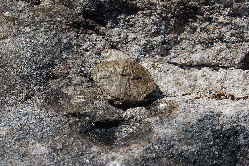 Esiste una roccia che "partorisce" ogni anno. Ecco la Pedras Parideiras