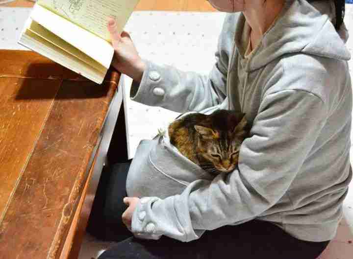 Esiste la felpa con la tasca porta gatto (ha anche le orecchie)