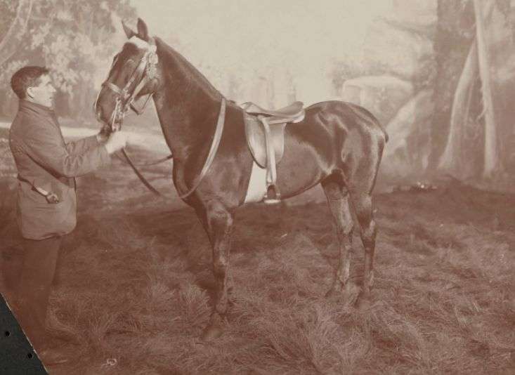 La cena a cavallo da 1 milione di dollari e champagne con cannuccia La cena a cavallo da 1 milione di dollari e champagne con cannuccia