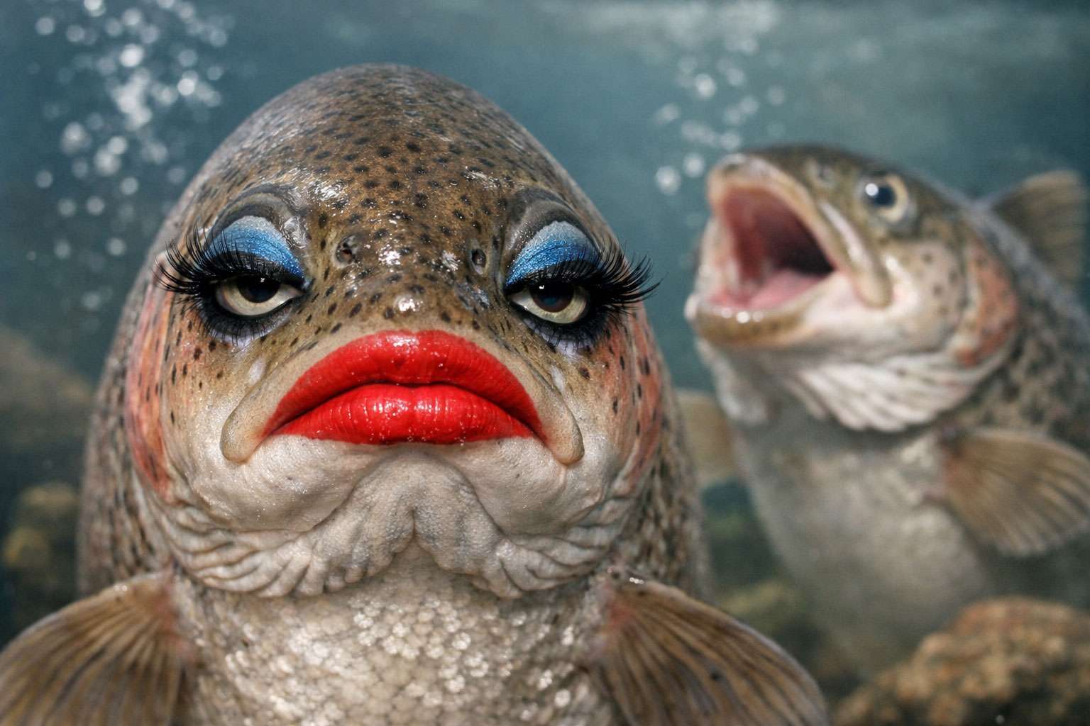 Trota femmina finge orgasmo immagine copertina