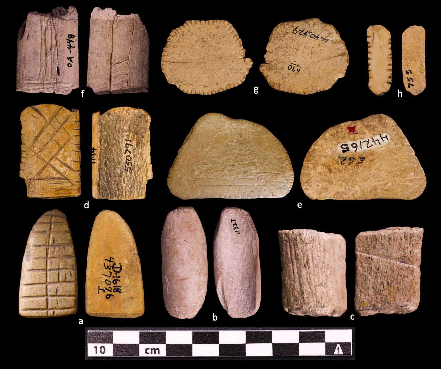 Le donne indigene inventarono i dadi e il gioco d'azzardo 12.000 anni fa (e gestivano anche gli uomini al potere)